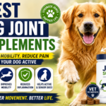 Best Dog Joint Supplements for Healthy Joints (2026 Guide)