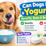 Can Dogs Eat Yogurt? Benefits, Risks & Best Types for Dogs