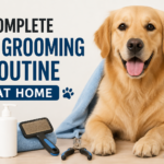 Complete Dog Grooming Routine at Home: Step-by-Step Guide for Healthy and Happy Dogs