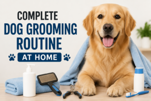 Complete Dog Grooming Routine at Home: Step-by-Step Guide for Healthy and Happy Dogs