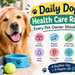 Daily Dog Health Care Routine Every Pet Owner Should Follow