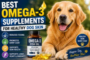 Best Omega-3 Supplements for Healthy Dog Skin (2026 Guide)