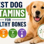 Best Dog Vitamins for Healthy Bones: Essential Nutrients & Supplements