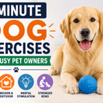 5-Minute Dog Exercises for Busy Pet Owners: Easy Daily Workout