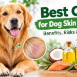 Best Oils for Dog Skin and Coat: Benefits, Risks & Safe Use