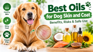 Best Oils for Dog Skin and Coat: Benefits, Risks & Safe Use