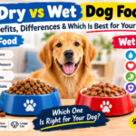 Dry vs Wet Dog Food: Benefits, Differences & Which Is Best for Your Dog